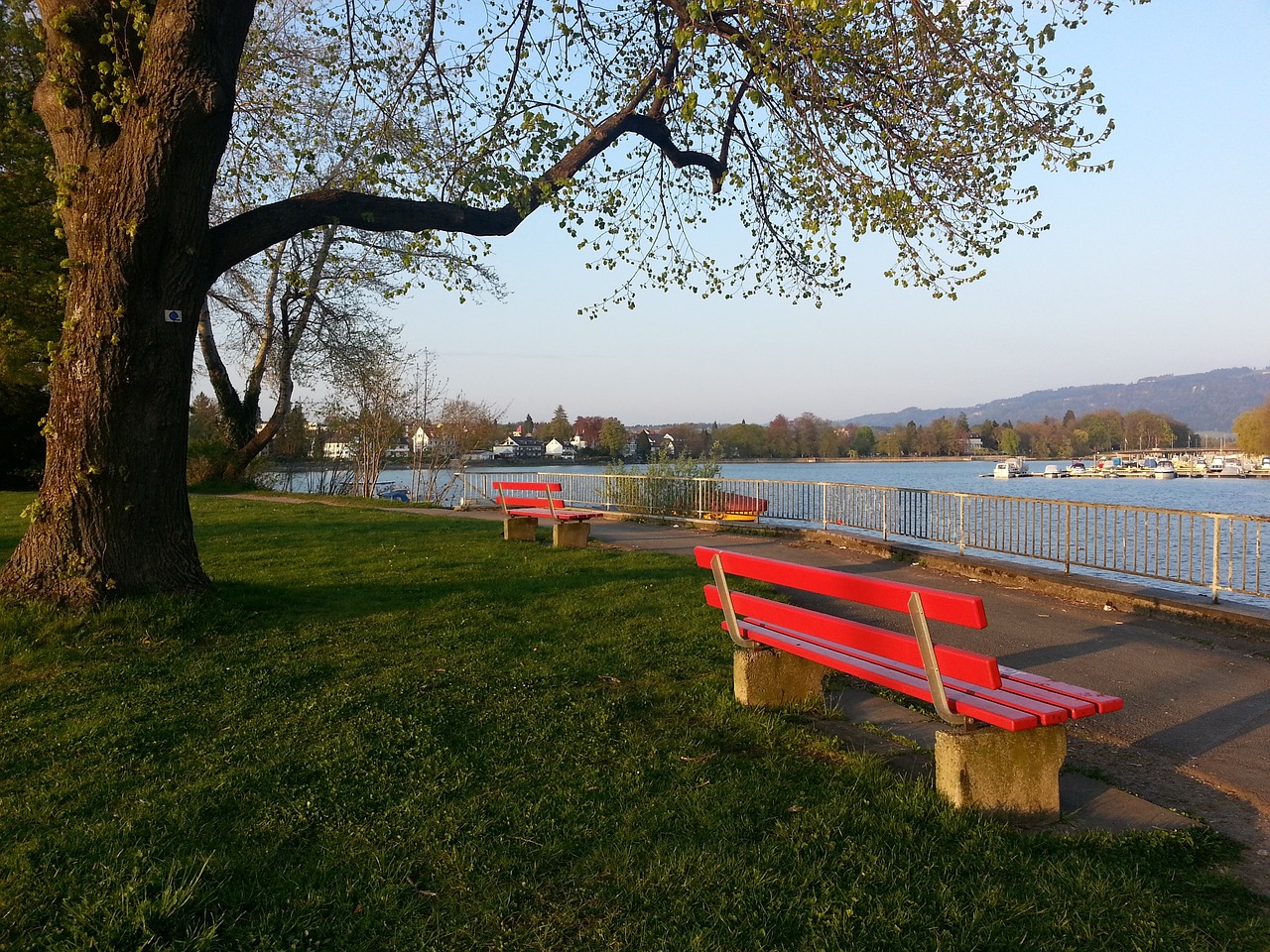 勇士队创造 勇士队创造