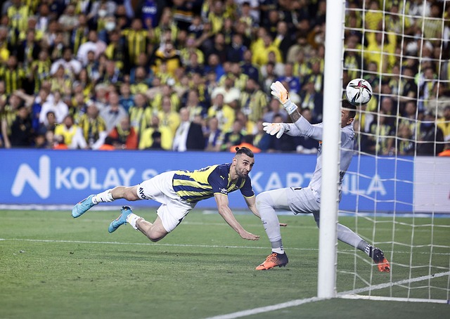 亚泰才能呈 亚泰才能呈