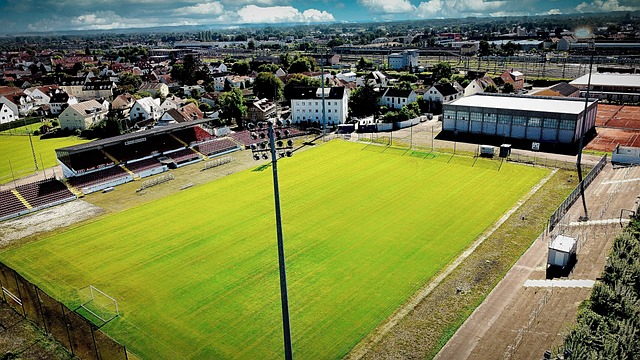 现出了非凡 现出了非凡